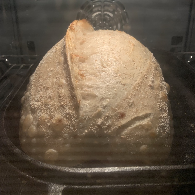A half-baked loaf in the oven