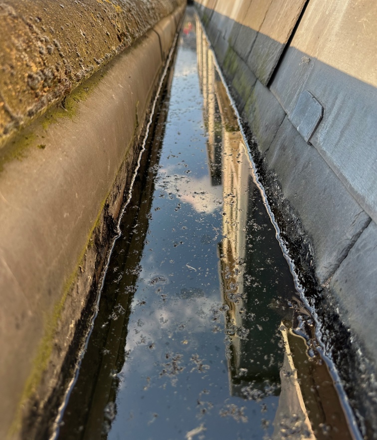 A gutter filled with horrible, stagnant water