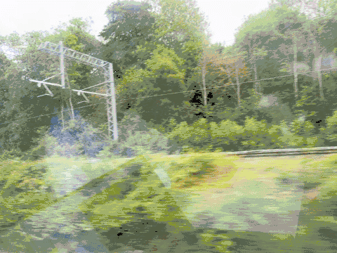 Trees and bridges rushing past the window of the train