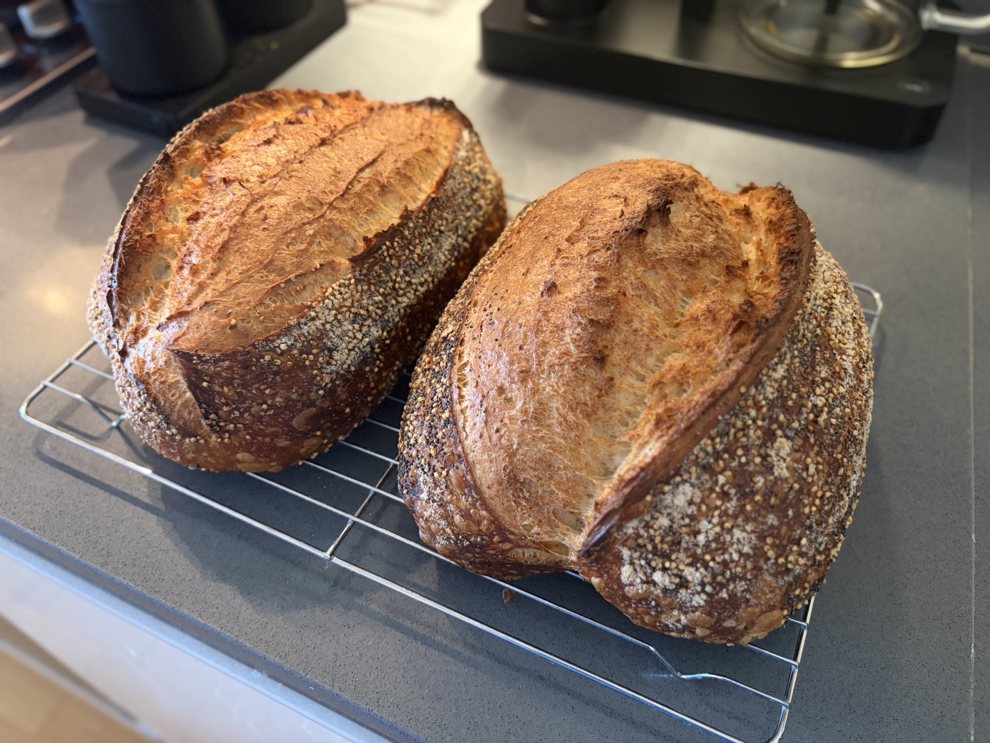 Two loaves of sourdough. If you can imagine what bread looks like, you’re not missing anything.